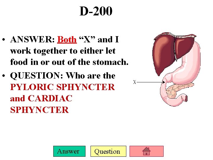 D-200 • ANSWER: Both “X” and I work together to either let food in