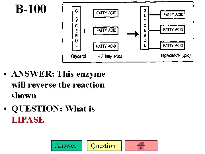 B-100 • ANSWER: This enzyme will reverse the reaction shown • QUESTION: What is