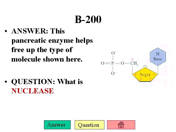 B-200 • ANSWER: This pancreatic enzyme helps free up the type of molecule shown