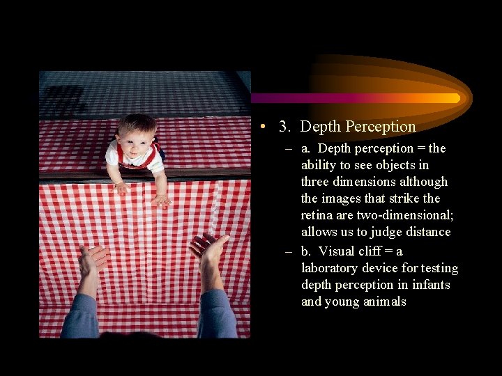  • 3. Depth Perception – a. Depth perception = the ability to see