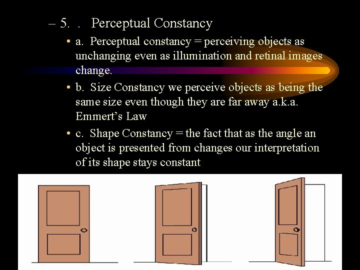 – 5. . Perceptual Constancy • a. Perceptual constancy = perceiving objects as unchanging