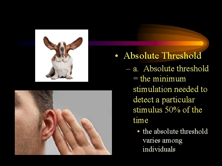  • Absolute Threshold – a. Absolute threshold = the minimum stimulation needed to