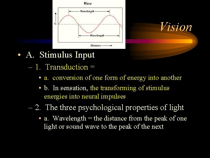 Vision • A. Stimulus Input – 1. Transduction = • a. conversion of one