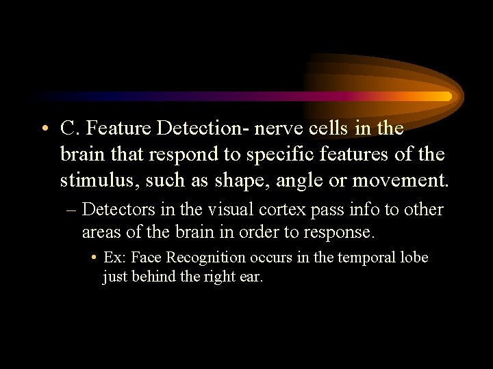  • C. Feature Detection- nerve cells in the brain that respond to specific