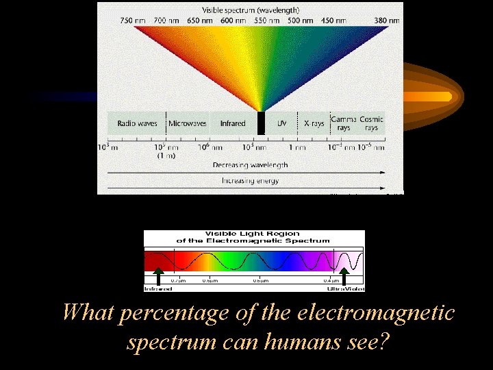 What percentage of the electromagnetic spectrum can humans see? 