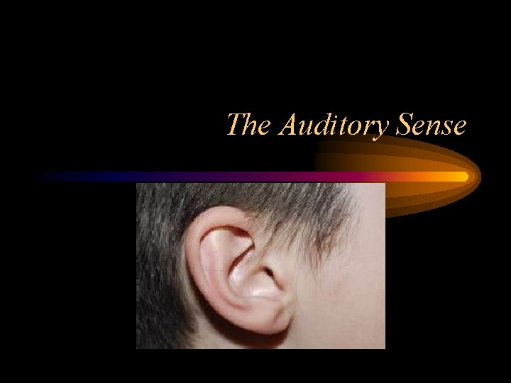 The Auditory Sense 