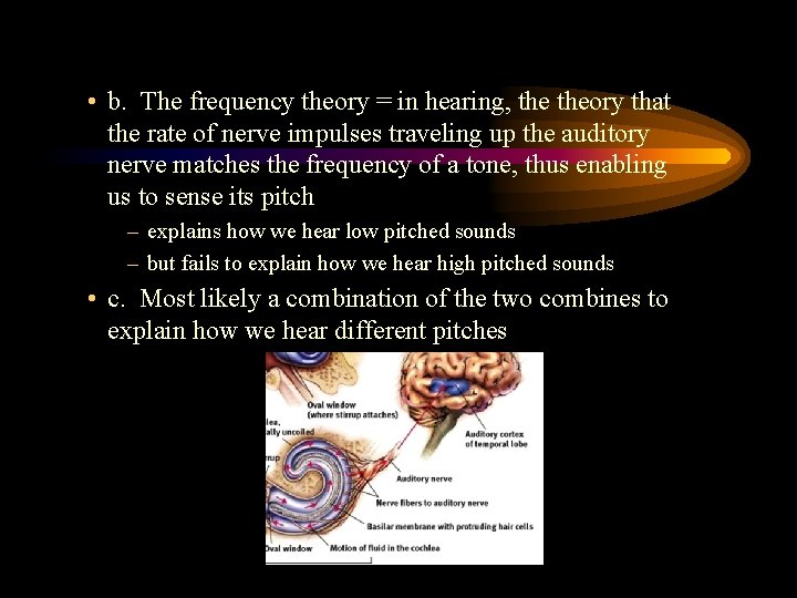 • b. The frequency theory = in hearing, theory that the rate of