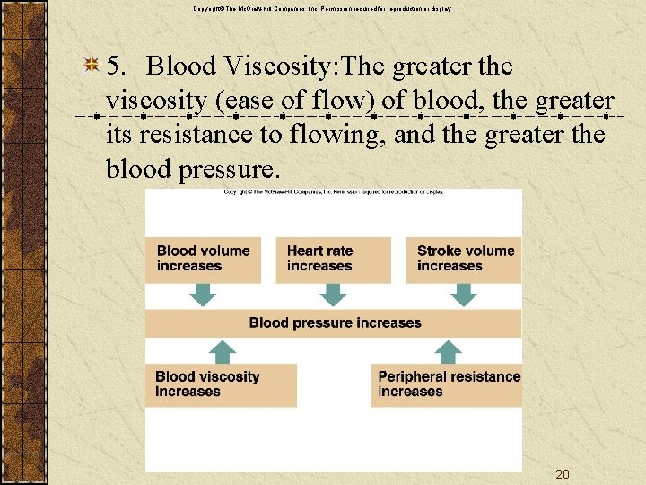 Copyright The Mc. Graw-Hill Companies, Inc. Permission required for reproduction or display. 5. Blood