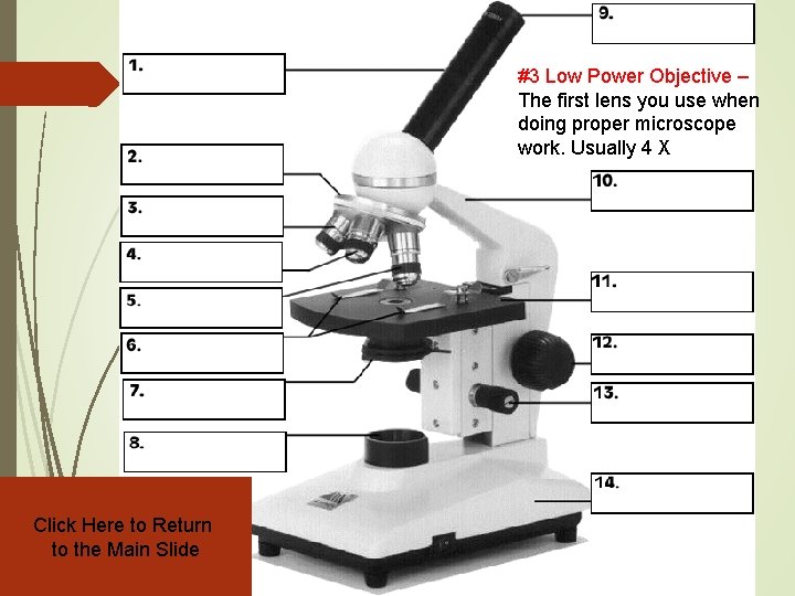 #3 Low Power Objective – The first lens you use when doing proper microscope