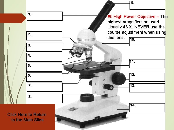 #5 High Power Objective – The highest magnification used. Usually 43 X. NEVER use