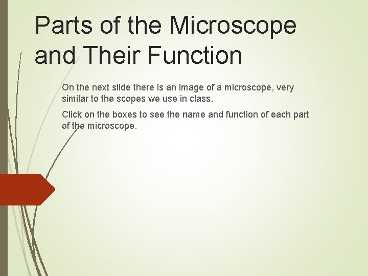 Parts of the Microscope and Their Function On the next slide there is an