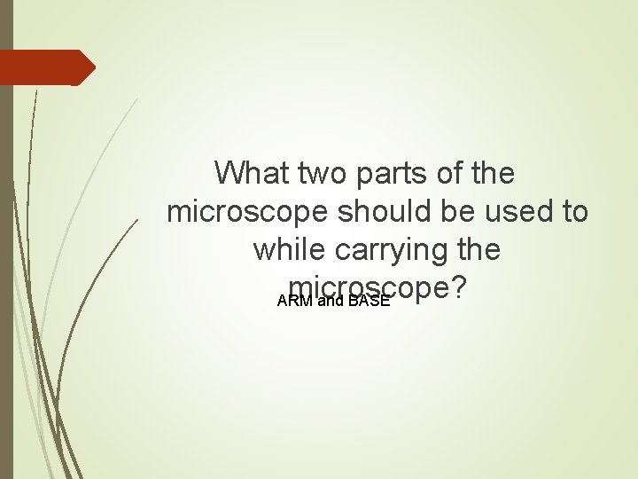 What two parts of the microscope should be used to while carrying the microscope?