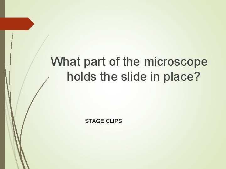 What part of the microscope holds the slide in place? STAGE CLIPS 