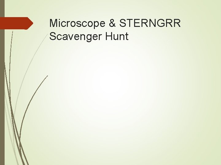 Microscope & STERNGRR Scavenger Hunt 