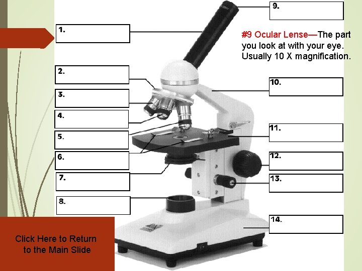 #9 Ocular Lense—The part you look at with your eye. Usually 10 X magnification.