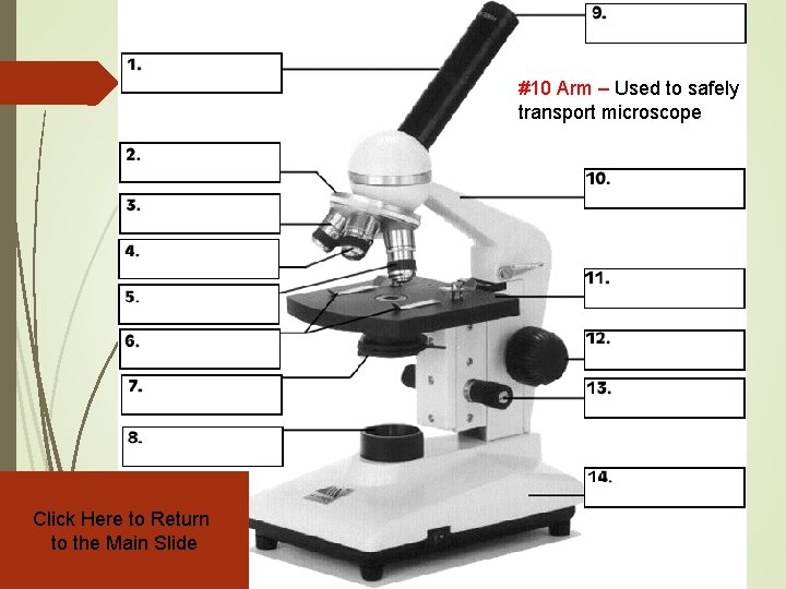 #10 Arm – Used to safely transport microscope Click Here to Return to the