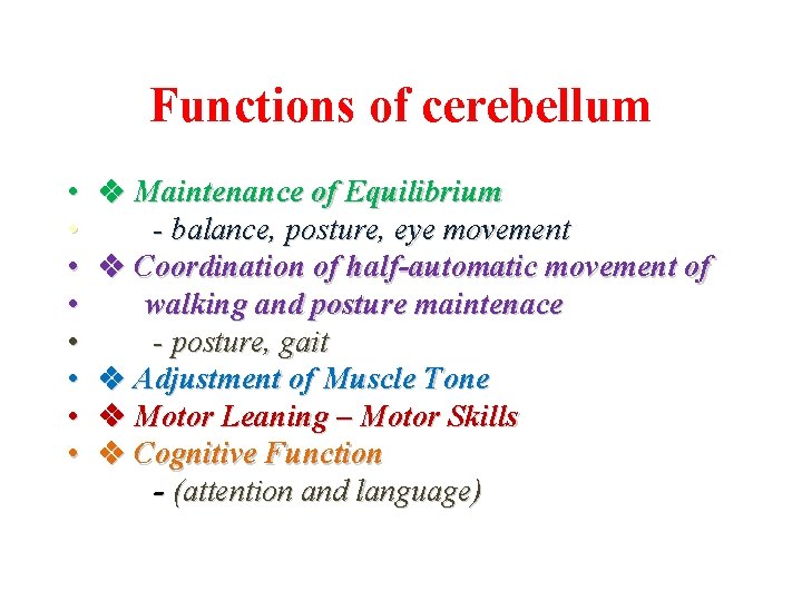 Functions of cerebellum • • Maintenance of Equilibrium - balance, posture, eye movement Coordination