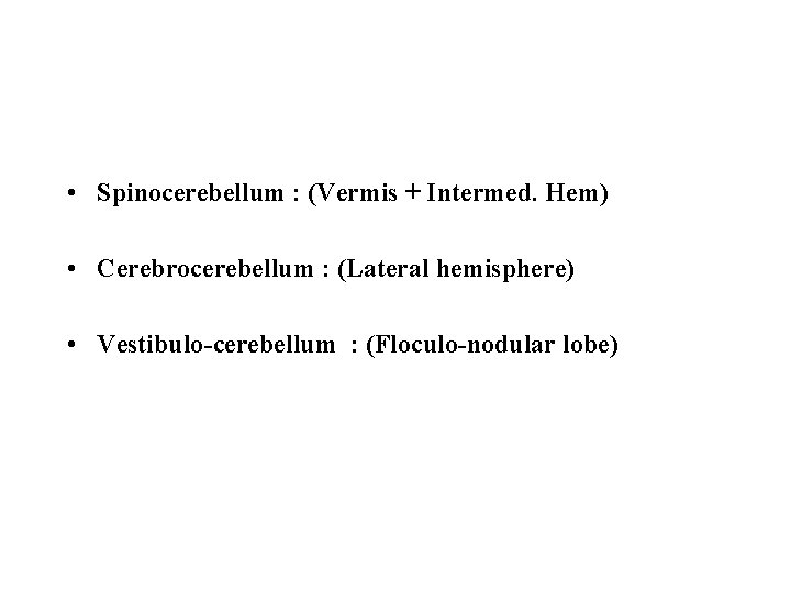  • Spinocerebellum : (Vermis + Intermed. Hem) • Cerebrocerebellum : (Lateral hemisphere) •
