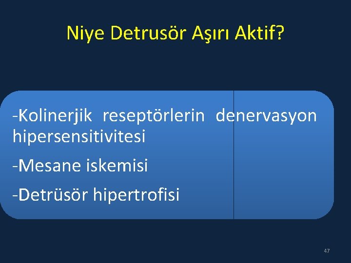 Niye Detrusör Aşırı Aktif? -Kolinerjik reseptörlerin denervasyon hipersensitivitesi -Mesane iskemisi -Detrüsör hipertrofisi 47 