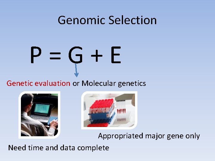 Genomic Selection P=G+E Genetic evaluation or Molecular genetics Appropriated major gene only Need time