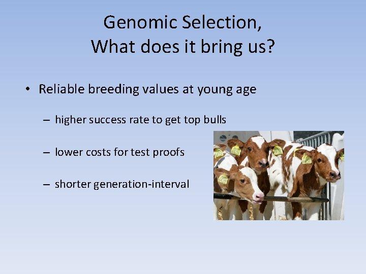Genomic Selection, What does it bring us? • Reliable breeding values at young age