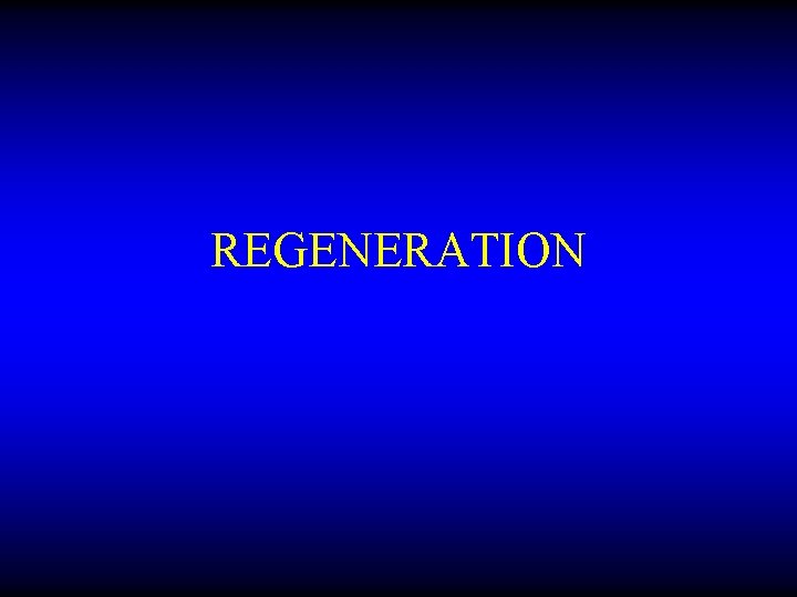 REGENERATION 