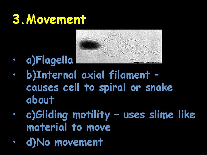 3. Movement • a)Flagella • b)Internal axial filament – causes cell to spiral or
