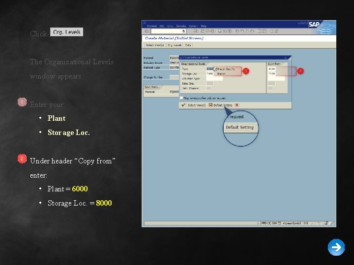 Click The Organizational Levels window appears Enter your: • Plant • Storage Loc. Under