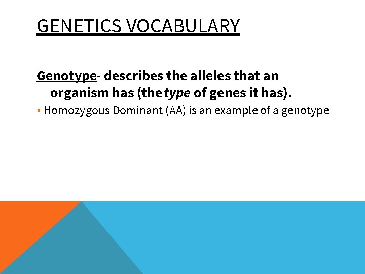 GENETICS VOCABULARY Genotype- describes the alleles that an organism has (the type of genes