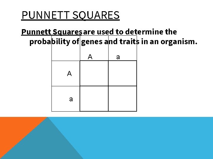 PUNNETT SQUARES Punnett Squares are used to determine the probability of genes and traits