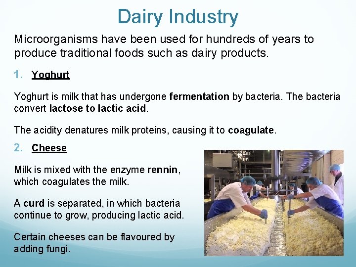 Dairy Industry Microorganisms have been used for hundreds of years to produce traditional foods