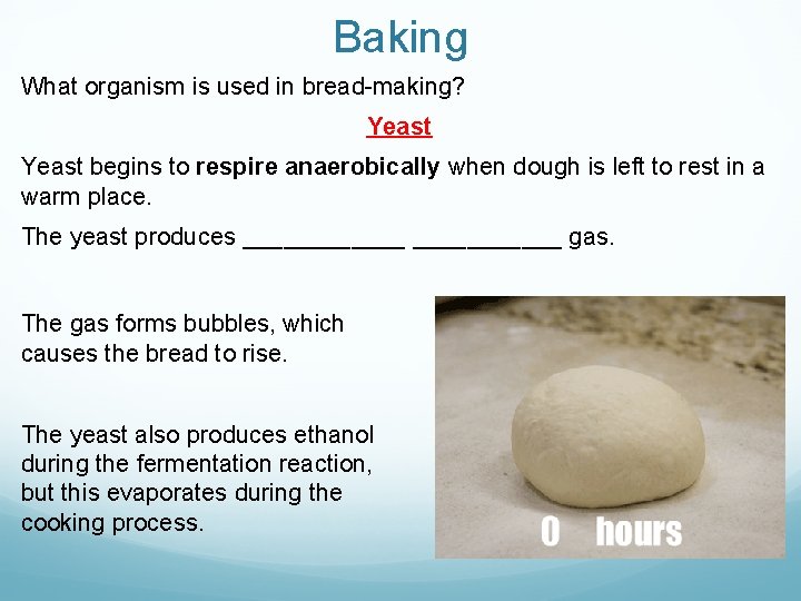 Baking What organism is used in bread-making? Yeast begins to respire anaerobically when dough