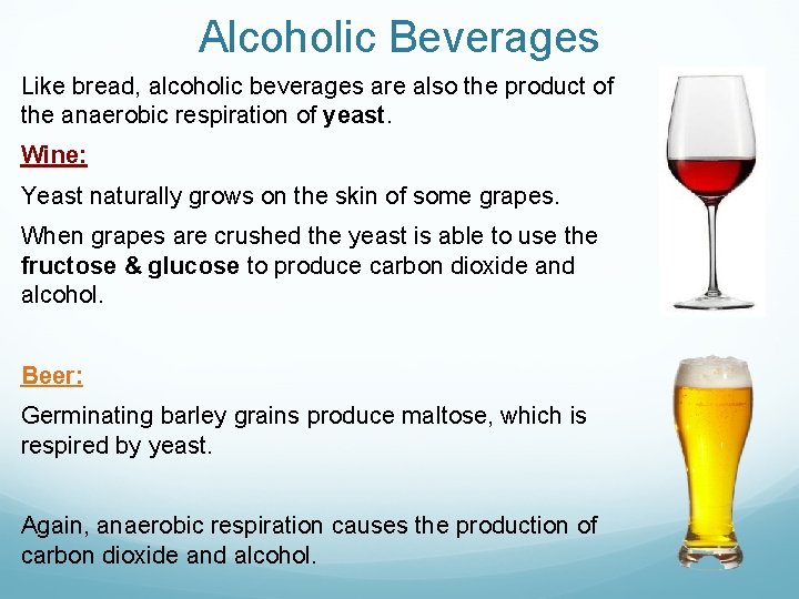 Alcoholic Beverages Like bread, alcoholic beverages are also the product of the anaerobic respiration