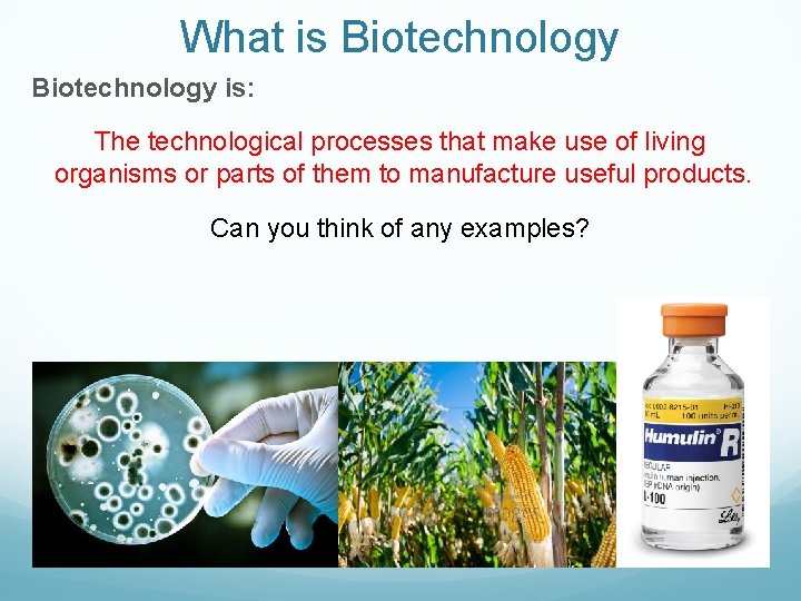 What is Biotechnology is: The technological processes that make use of living organisms or