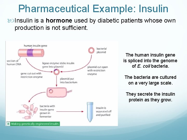 Pharmaceutical Example: Insulin is a hormone used by diabetic patients whose own production is