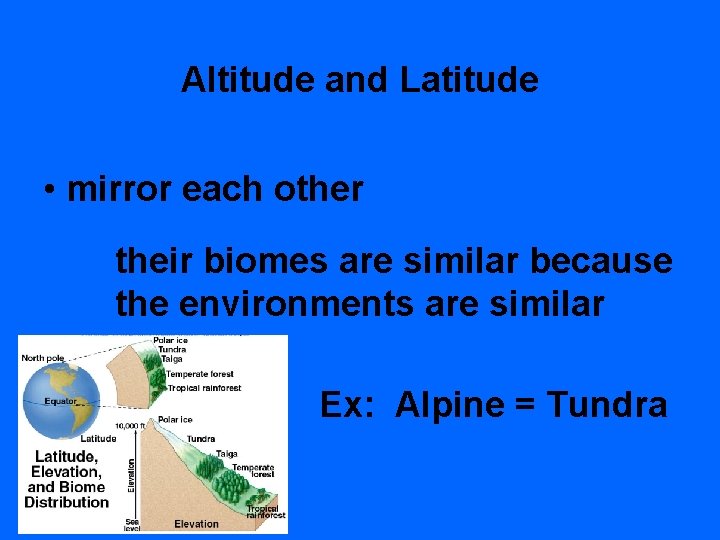 Altitude and Latitude • mirror each other their biomes are similar because the environments