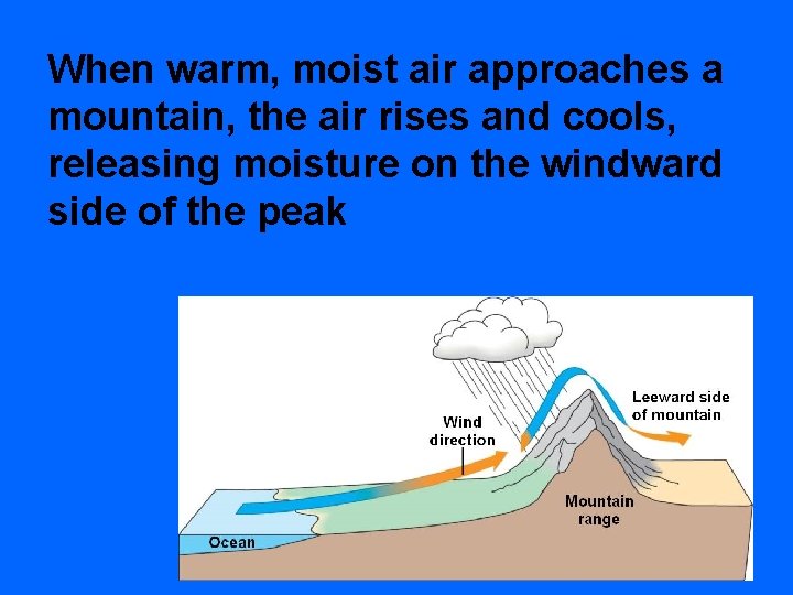 When warm, moist air approaches a mountain, the air rises and cools, releasing moisture