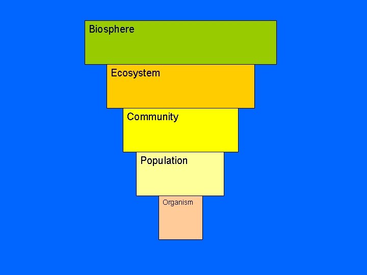 Biosphere Ecosystem Community Population Organism 