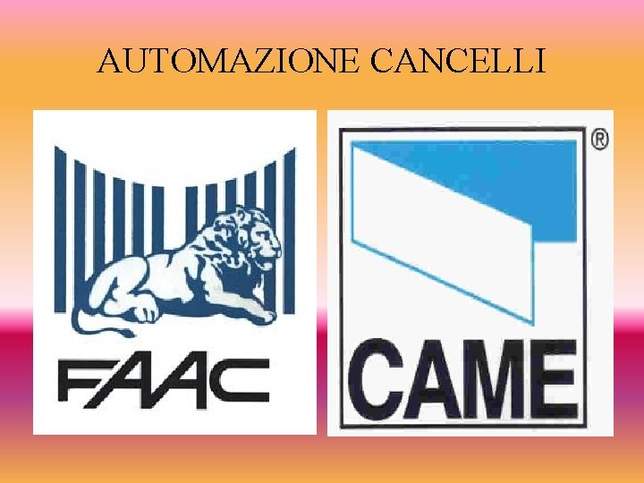 AUTOMAZIONE CANCELLI 