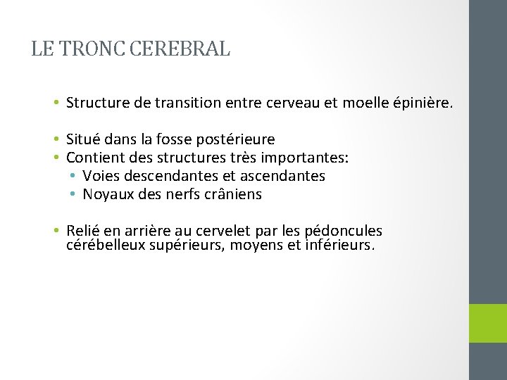 LE TRONC CEREBRAL • Structure de transition entre cerveau et moelle épinière. • Situé