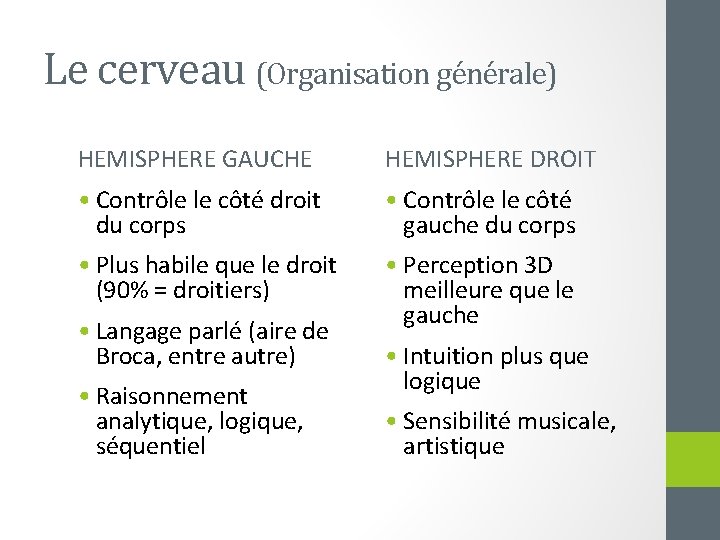 Le cerveau (Organisation générale) HEMISPHERE GAUCHE HEMISPHERE DROIT • Contrôle le côté droit du