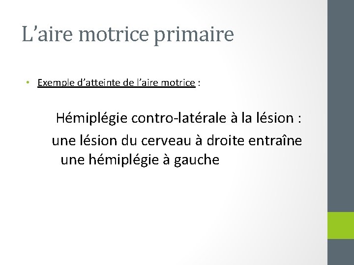 L’aire motrice primaire • Exemple d’atteinte de l’aire motrice : Hémiplégie contro-latérale à la