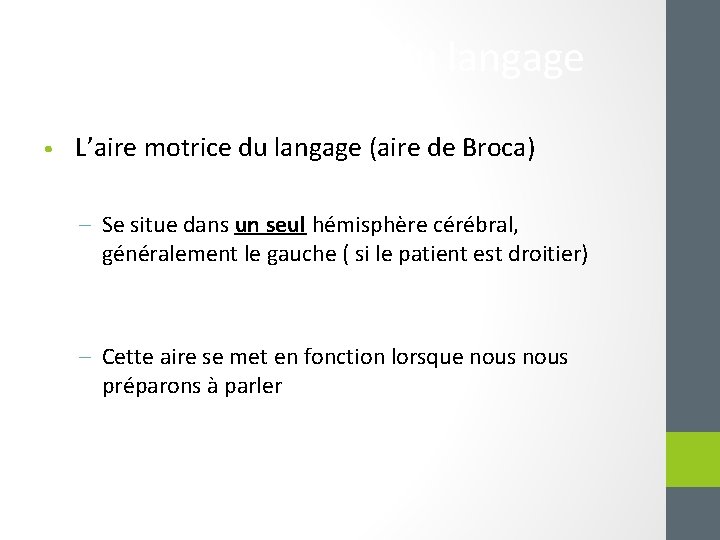 L’aire motrice du langage • L’aire motrice du langage (aire de Broca) – Se