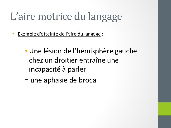 L’aire motrice du langage • Exemple d’atteinte de l’aire du langage : • Une