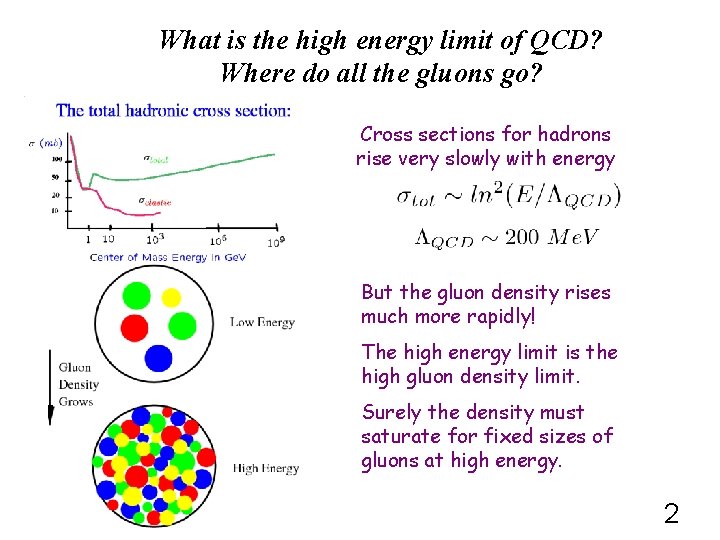 What is the high energy limit of QCD? Where do all the gluons go?