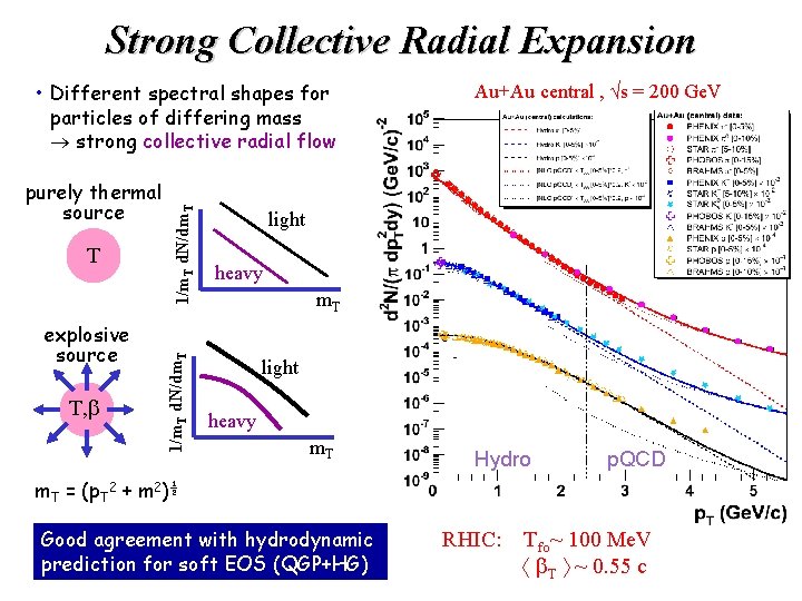 Strong Collective Radial Expansion T explosive source T, b 1/m. T d. N/dm. T
