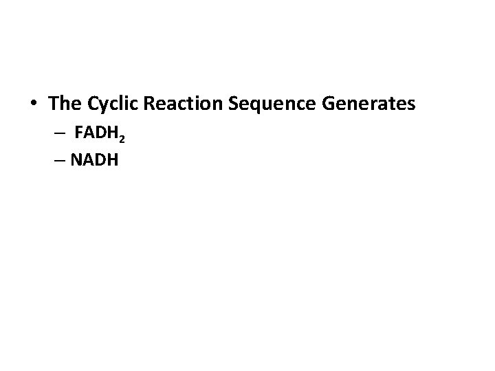  • The Cyclic Reaction Sequence Generates – FADH 2 – NADH 