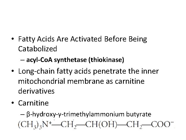  • Fatty Acids Are Activated Before Being Catabolized – acyl-Co. A synthetase (thiokinase)