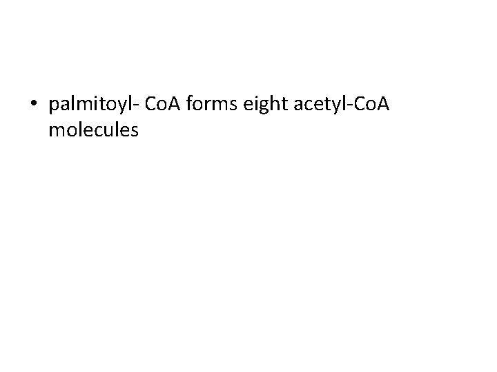  • palmitoyl- Co. A forms eight acetyl-Co. A molecules 