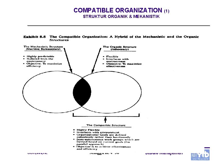 COMPATIBLE ORGANIZATION (1) STRUKTUR ORGANIK & MEKANISTIK UBH, IIW, HL Minggu ke 4 -30